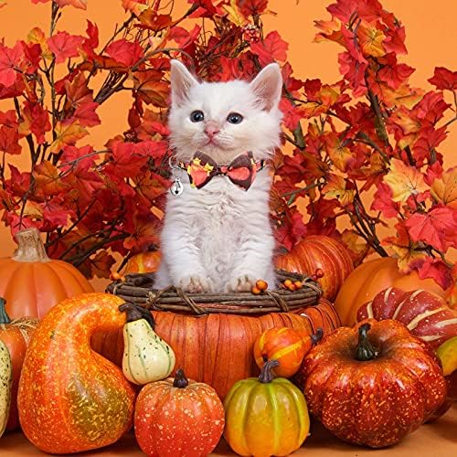 8 Darab Őszi Hálaadás Macska Nyakörv csokornyakkendő Bell-Halloween Őszi Szakadár Cica Gallérral, Törökország Tök Juhar Levél Minták Állítható
