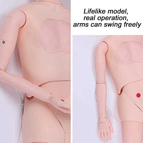 ZQHJ betegellátás Próbabábu 170cm Élet Méret Férfiak, mind a Nők Cserélhető Képzés CPR Szimulátor Orvosi, Ápolói Képzés Próbabábu