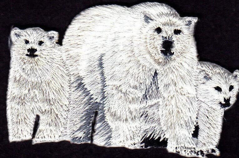 Jegesmedve CSALÁD Vas a Patch Állatok Medvék Cubs Sarki Állatkert