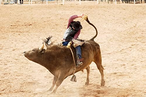 Rodeo Mellény Patch - A Bull Riding Hall of Fame 3 - Meghámozzuk, majd Bottal Hímzés Foltok a Western Cowboy Bull Rider