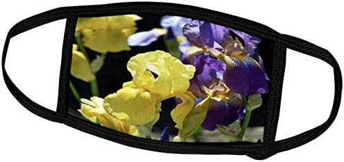 3dRose PS Virágok Ihlette Iris Garden - Gyönyörű Spirng Virágok - Álarcok (fm_57898_1)