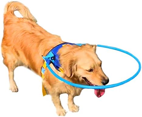 Vak Pet Irányadó Eszköz Nyakörv Pet Anti-Collision Gyűrű Vak Kutya Hám Halo Beltéri Kültéri