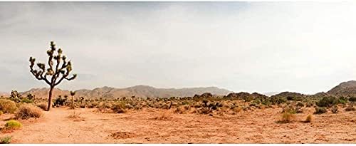AWERT 24x12 cm Terrárium Háttér a Kék Eget Hegy Kaktusz Joshua Tree Góbi-Sivatagban Hüllő Élőhely Háttér Vinil