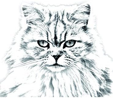 Művészeti Kutya Kft. Brit Kiadvány, Ovális alakú Sírkő a Kerámia egy Kép egy macska