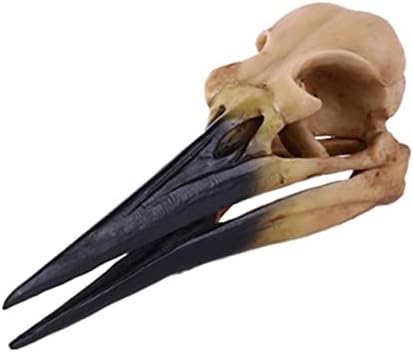 Veemoon 1db Dinoszaurusz-Madár Koponya lakberendezési Hüllő, Hal, Akvárium Dekoráció Állati Csontváz Modell Reptisoil Asztali Dekoráció Koponya